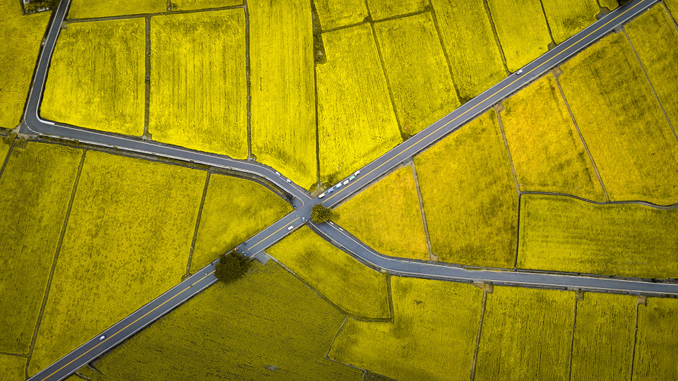 Hình ảnh những bông lúa vàng óng ánh dưới ánh nắng mặt trời đã trở thành biểu tượng đặc trưng của thị trấn này. (Ảnh: Hoài Nam/Vietnam+)