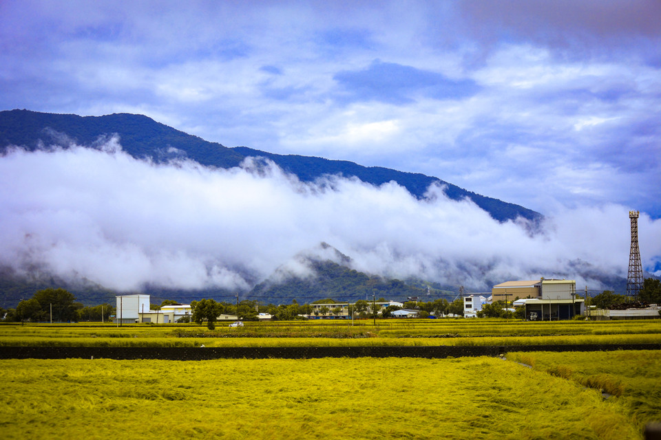 Những cánh đồng lúa không chỉ là nơi sản xuất ra những hạt gạo chất lượng cao mà còn mang lại cho Chishang một vẻ đẹp tự nhiên mà ít nơi nào có được. (Ảnh: Hoài Nam/Vietnam+)