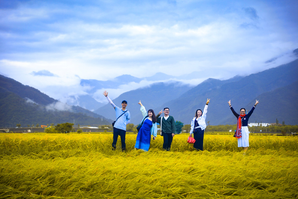 Thời điểm đẹp nhất để đến Chishang là vào mùa Thu, khi những cánh đồng lúa chín vàng óng ánh, tạo nên khung cảnh tuyệt đẹp cho những bức ảnh kỷ niệm. (Ảnh: Hoài Nam/Vietnam+)