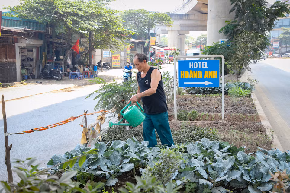 Người dân ‘hô biến’ khu vực dưới tuyến đường sắt thành vườn trồng rau. (Ảnh: Hoài Nam/Vietnam+)
