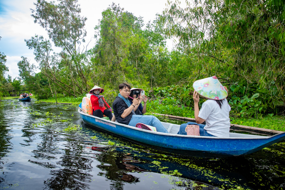 Giờ đây, không gian yên tĩnh khi không còn âm thanh phát ra từ động cơ, những chiếc xuồng nan đủ chỗ cho 4 người nhẹ nhàng trôi theo dòng nước, len lỏi giữa những con rạch nhỏ, qua những tán tràm rủ ngang đầu người. (Ảnh: Hoài Nam/Vietnam+)