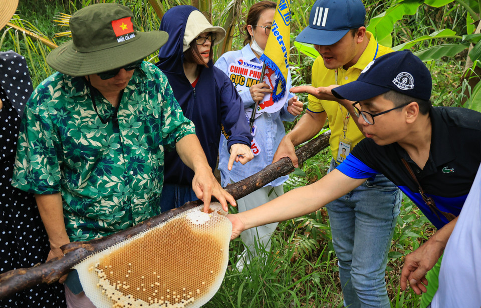 Mùi thơm đặc trưng của mật ong thiên nhiên và vị ngọt thanh luôn có một sức hấp dẫn khó cưỡng, du khách sẽ được thưởng thức sản phẩm ngay trong rừng. (Ảnh: Hoài Nam/Vietnam+)