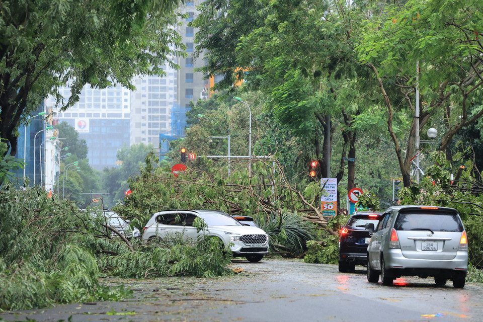 Khu vực đường Hoàng Minh Giám, cây đổ khiến phương tiện di chuyển khó khăn. (Ảnh: Hoài Nam/Vietnam+)