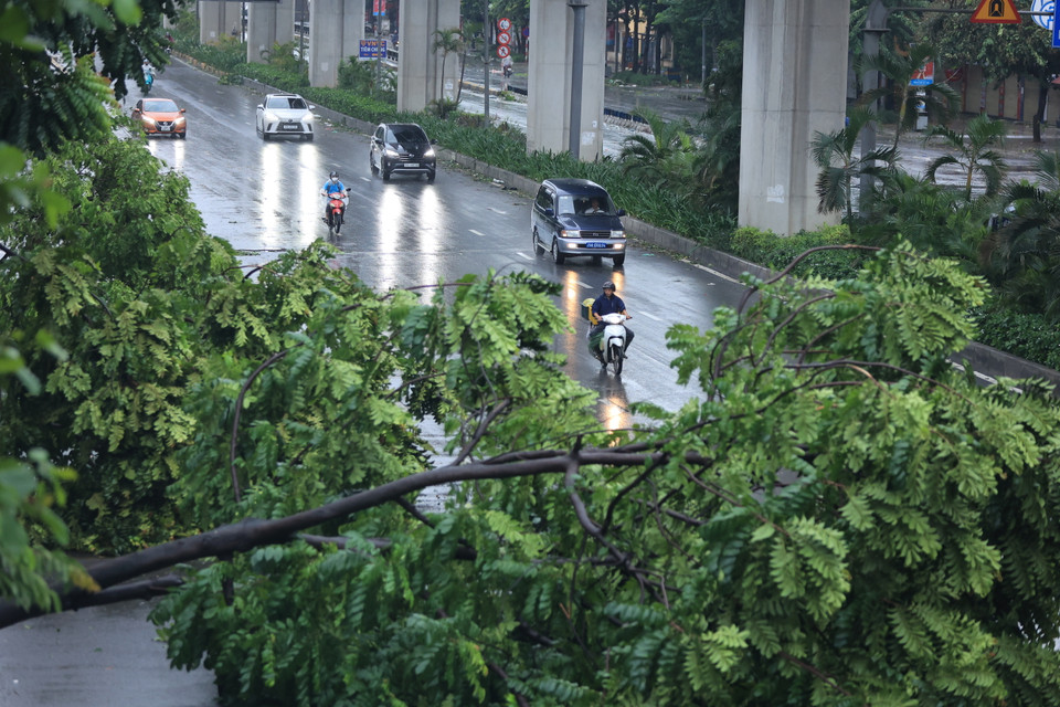 Đoạn hầm chui Thanh Xuân, nhiều cây lớn đổ chắn ngang 2 làn đường. (Ảnh: Hoài Nam/Vietnam+)