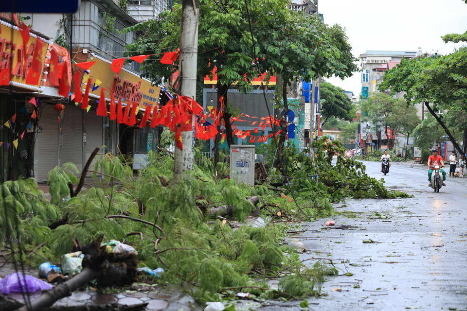 Theo ghi nhận của phóng viên vào buổi sáng 8/9, sau cơn bão Yagi, nhiều tuyến phố ở Hà Nội trong cảnh xơ xác. (Ảnh: Hoài Nam/Vietnam+)