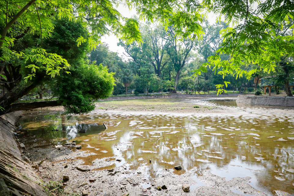 Các hồ nước trong công viên Bách Thảo là những hồ nước tự nhiên, phụ thuộc vào nguồn nước mưa. Do nắng nóng kéo dài và không có đường cấp nước nên hiện nay đã cạn trơ đáy. (Ảnh: Hoài Nam/Vietnam+)