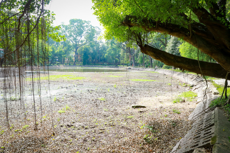Trao đổi với phóng viên, Ban quản lý công viên Bách Thảo cho biết: ‘Từ trước đến nay các hồ ở đây chưa bao giờ xảy ra cạn nước, hiện tại chúng tôi đã có ý kiến đề nghị với Công ty Công viên cây xanh Hà Nội để xử lý tình trạng này.’ (Ảnh: Hoài Nam/Vietnam+)