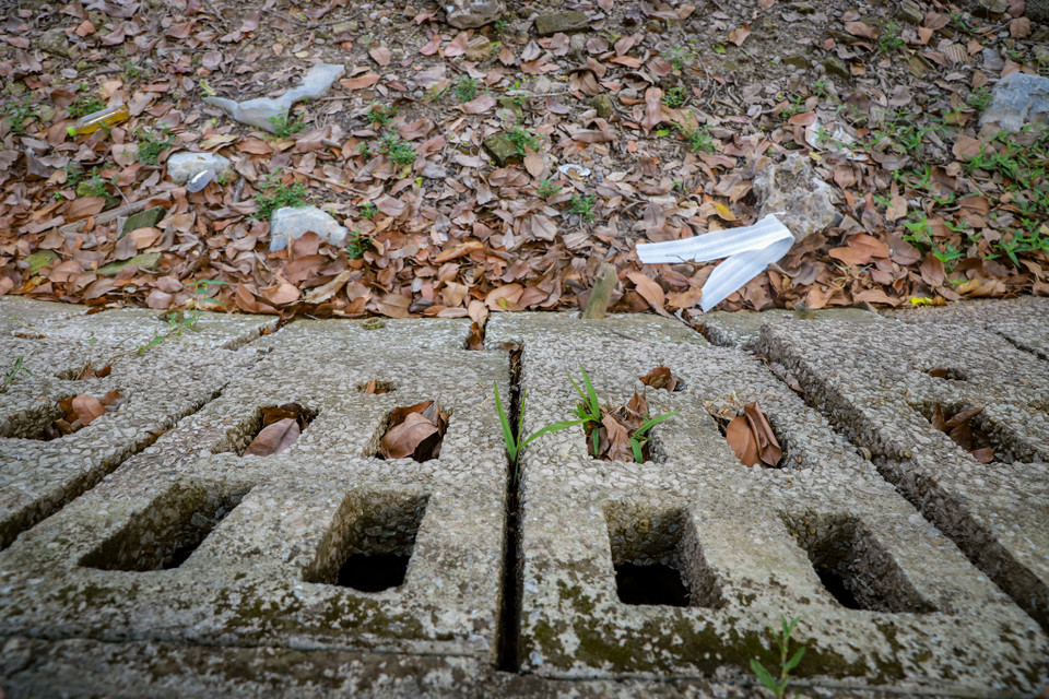 Các hồ nước này sâu khoảng 2m tính đến mặt kè bêtông hiện đã cạn nước. (Ảnh: Hoài Nam/Vietnam+)