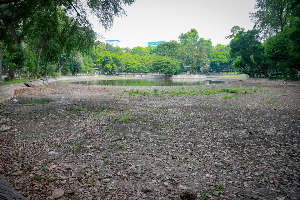 Hai hồ nước trong công viên Bách Thảo có tổng diện tích khoảng 1,65ha, đem lại cảnh quan tự nhiên và không có chức năng điều hòa trong thoát nước. (Ảnh: Hoài Nam/Vietnam+)