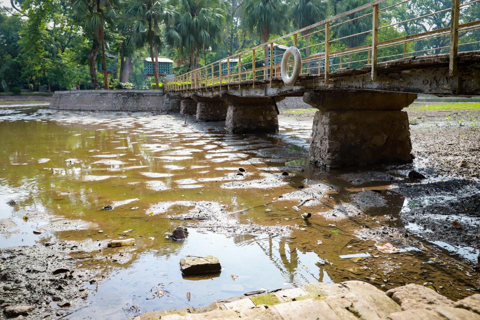 Nước hồ chỉ được bổ sung tự nhiên từ nước mưa không sử dụng vào việc tưới cây xanh trong quá trình duy tu, duy trì hệ thống cây xanh trong công viên. (Ảnh: Hoài Nam/Vietnam+)