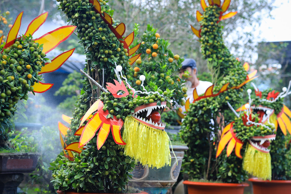 "Rồng là loài vật đứng đầu trong tứ linh, mang trong mình sức mạnh và quyền lực, phú quý và thịnh vượng. Vì vậy, tôi đã tạo ra những con Rồng bằng quất với ý nghĩa mang lại tài lộc, may mắn, tốt lành nhân dịp năm mới," ông Xuân nói. (Ảnh: Hoài Nam/Vietnam+)
