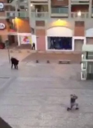 Trong cuộc đột kích ở St Denis sáng 18/11, cảnh sát Pháp đã bắt 7 người, trong đó có ít nhất 3 nghi phạm khủng bố. Hình ảnh trên là cảnh nghi phạm quỳ gối khi bị cảnh sát bắn cảnh cáo.