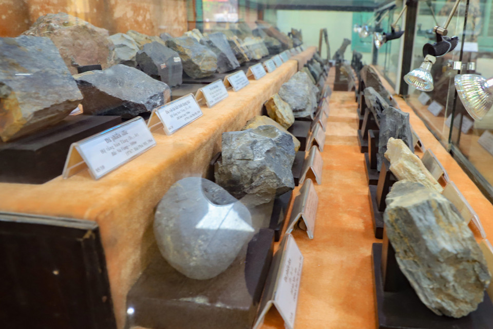 Cũng giống như Bảo tàng Địa chất ở Thành phố Hồ Chí Minh, Bảo tàng Địa chất Hà Nội này được thành lập cùng năm 1914 bởi hai nhà địa chất người Pháp theo quyết định của Sở Địa chất Đông Dương. Từ đó đến nay, bảo tàng có vai trò rất quan trọng trong việc đào tạo các nghiên cứu sinh, cũng như phổ biến kiến thức phổ thông cho học sinh, sinh viên, cũng như khách tham quan. (Ảnh: Hoài Nam/Vietnam+)