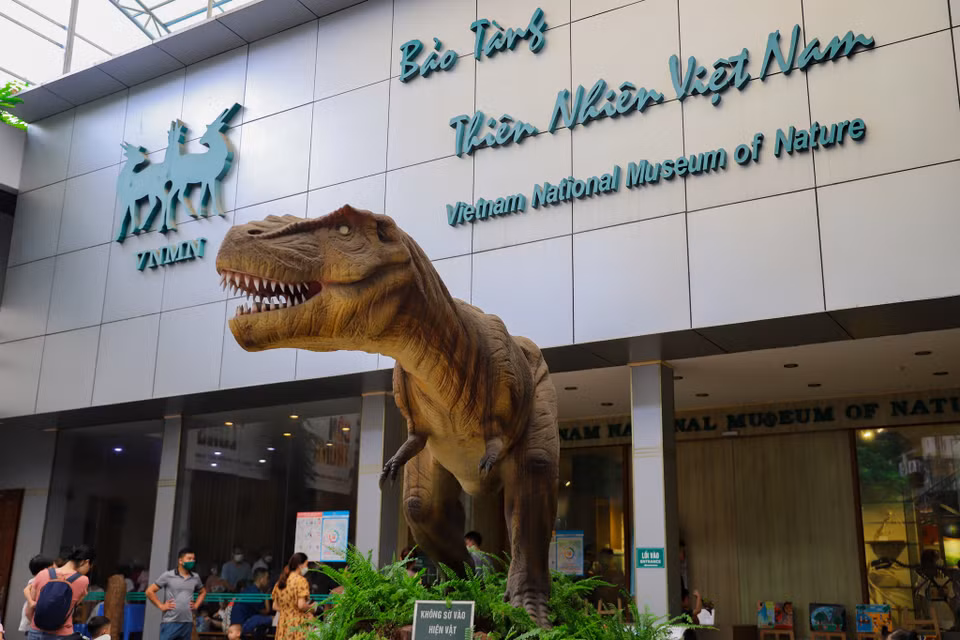 Bảo tàng Thiên nhiên Việt Nam nằm khuất sâu bên trong Viện Hàn lâm Khoa học Công nghệ Việt Nam, tọa lạc tại số 18 Hoàng Quốc Việt, Cầu Giấy, Hà Nội. (Ảnh: Hoài Nam/Vietnam+)