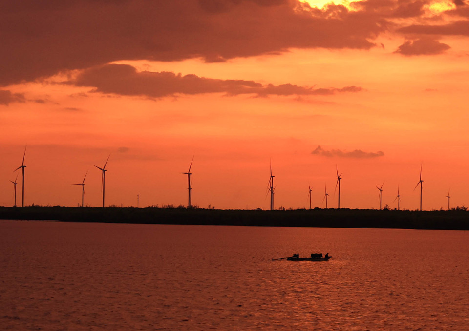 Nhìn từ xa, ‘cánh đồng điện gió’ Bạc Liêu trông như một khu vườn với những bông hoa chong chóng trắng nở rộ trên mặt biển nâu hồng của vùng đất phù sa. (Ảnh: Hoài Nam/Vietnam+)