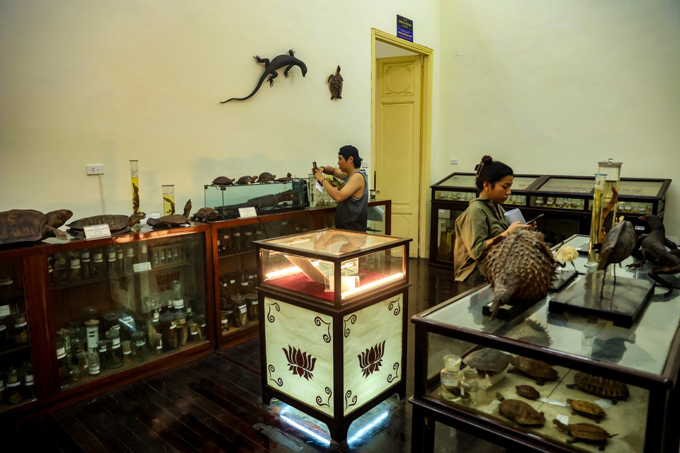 Bảo tàng Sinh học là một địa điểm thu hút với người dân Thủ đô khi đây là lần đầu tiên được vào tham quan. (Ảnh: Hoài Nam/Vietnam+)