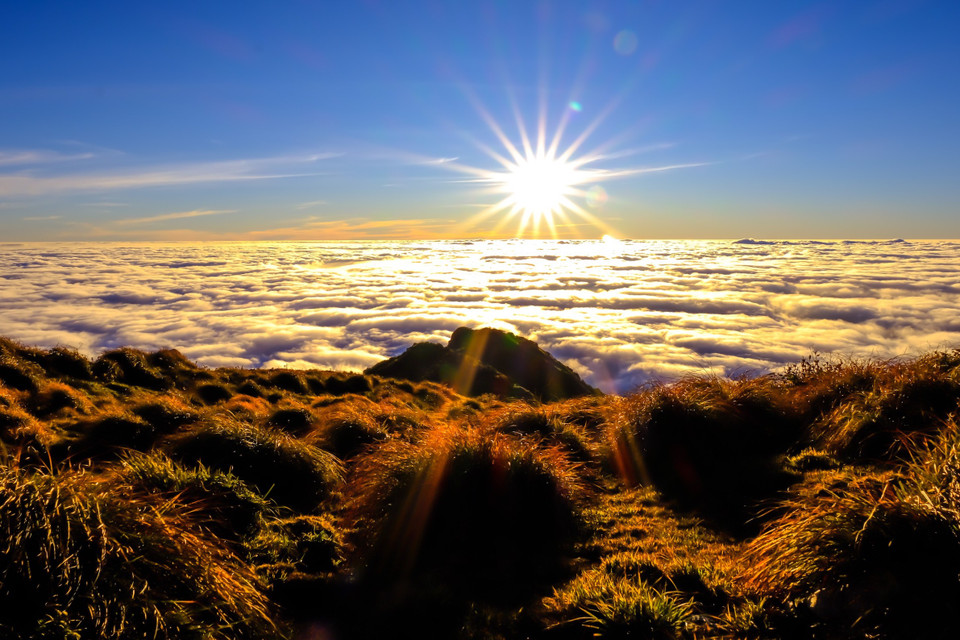 Du khách sẽ phải mất khoảng 2 ngày 1 đêm để chinh phục được cung trekking miền Bắc có độ cao 2.913m này và tận hưởng cảnh sắc thiên nhiên. (Ảnh: Lại Hồng Thái/Vietnam+)