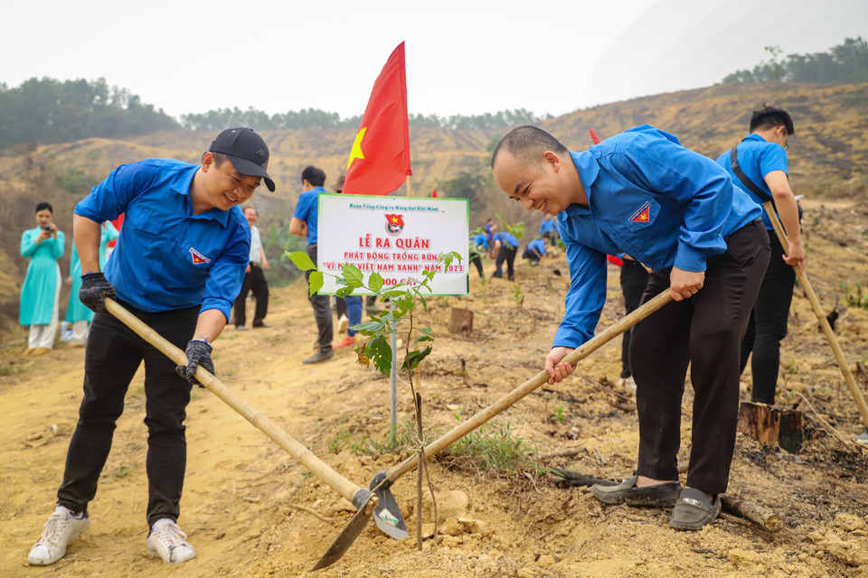 Nhiều năm xã Lâm Sơn duy trì mức che phủ rừng gần 60% diện tích đồi núi nhờ sự phối hợp của Tổng công ty Lâm Nghiệp Việt Nam và Công ty Lâm Nghiệp Hòa Bình. (Ảnh: Hoài Nam/Vietnam+)