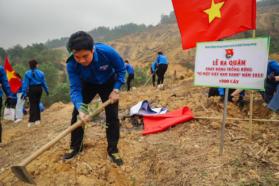 Đoàn Thanh niên Ngân hàng Chính sách xã hội Trung ương hào hứng tham gia hoạt động ý nghĩa này. (Ảnh: Hoài Nam/Vietnam+)