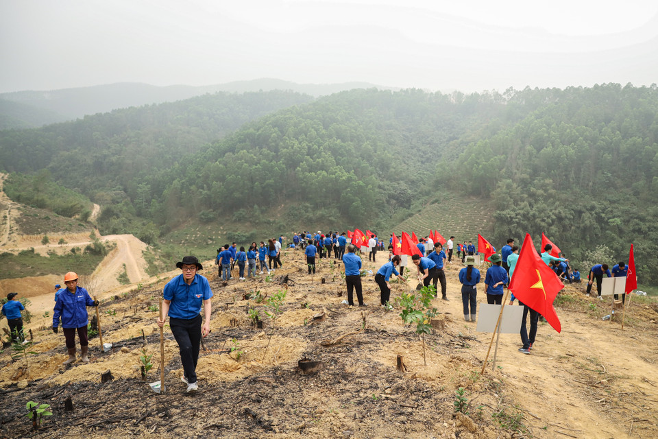 Nhận thấy vai trò quan trọng của rừng trong phát triển kinh tế cũng như bảo vệ môi trường, sức trẻ thanh niên từ các Doanh nghiệp Trung ương đã đóng góp thêm vào quá trình tăng độ che phủ rừng tại xã Lâm Sơn (Lương Sơn, Hòa Bình). (Ảnh: Hoài Nam/Vietnam+)