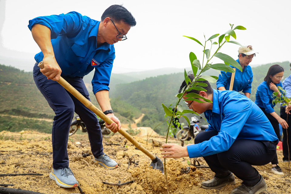 Đây là hoạt động ý nghĩa của sức trẻ Doanh nghiệp Trung ương góp phần bảo vệ môi trường và hướng tới mục tiêu vì một Việt Nam xanh. (Ảnh: Hoài Nam/Vietnam+)