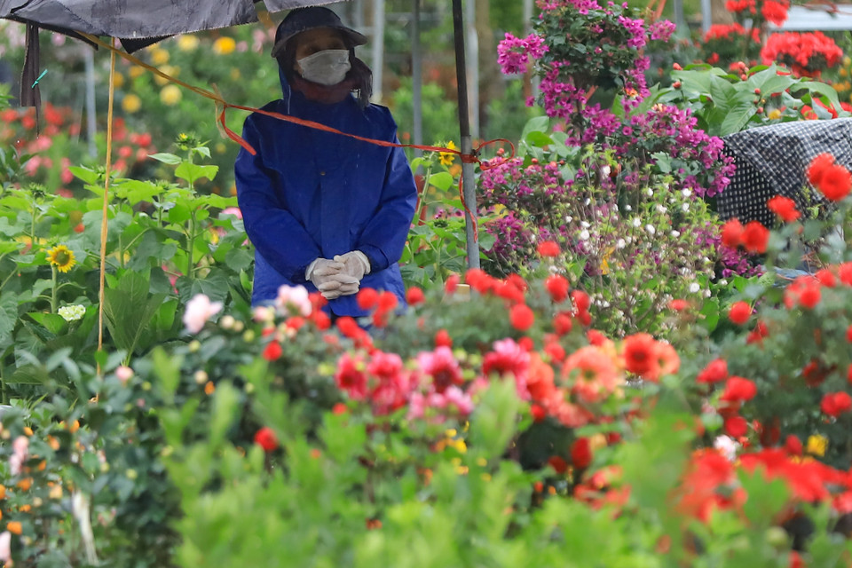 Đợt rét dự kiến kéo dài tới hết ngày 25/1. (Ảnh: Hoài Nam/Vietnam+)