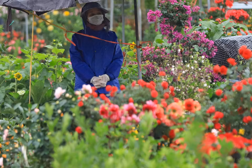 Đợt rét dự kiến kéo dài tới hết ngày 25/1. (Ảnh: Hoài Nam/Vietnam+)