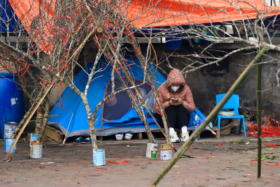Thậm chí, họ còn mang cả lều cá nhân để chống lại cái lạnh 'cắt da cắt thịt' của Thủ đô những ngày này... (Ảnh: Hoài Nam/Vietnam+)