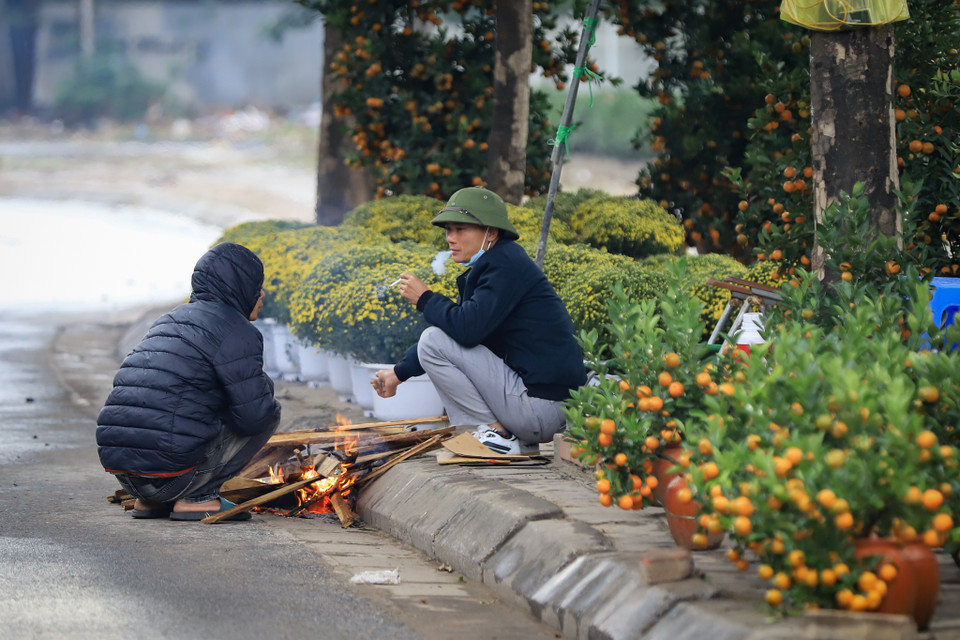 Thương lái đốt lửa, canh đào, quất trên phố. (Ảnh: Hoài Nam/Vietnam+)