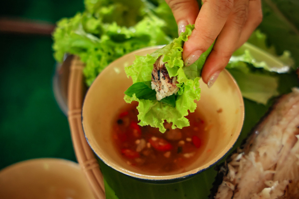 Nếu bạn đến Miền Tây vào dịp này, bạn hoàn toàn có thể tham gia tát mương bắt cá cùng người dân nơi đây. Thành quả của buổi tát mương là những con cá tươi sống và du khách có thể tham gia chế biến những con cá lóc cùng người dân nơi đây. (Ảnh: Hoài Nam/Vietnam+)