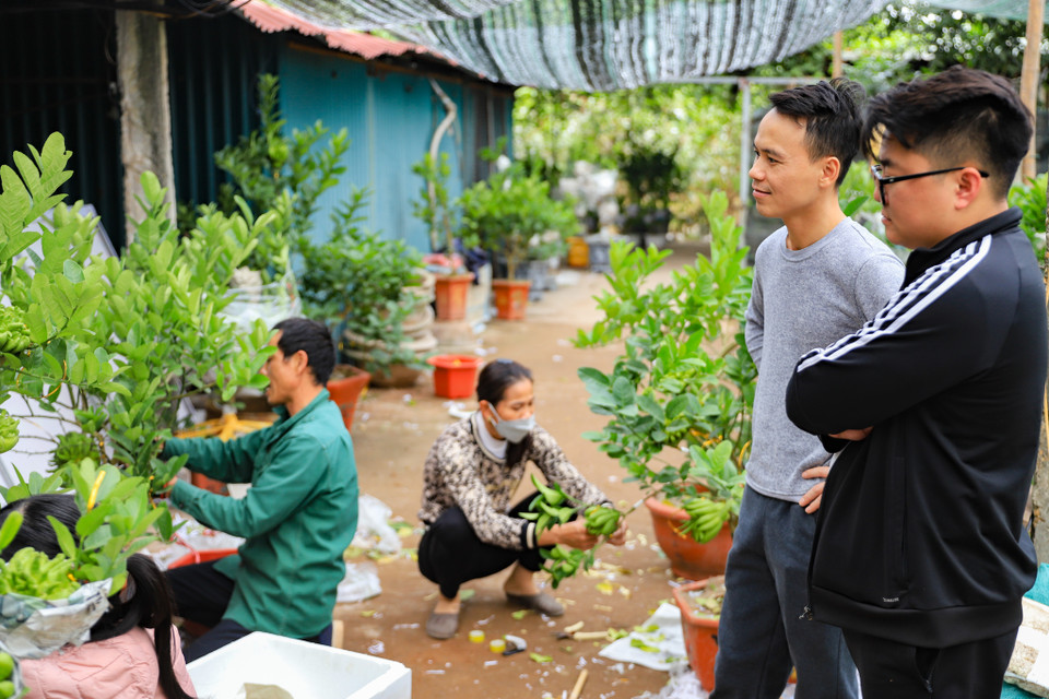 Không ít các‘thượng đế’ sẵn sàng bỏ ra vài triệu để sở hữu một chậu cây cảnh độc đáo và mang ý nghĩa này. (Ảnh: Hoài Nam/Vietnam+)