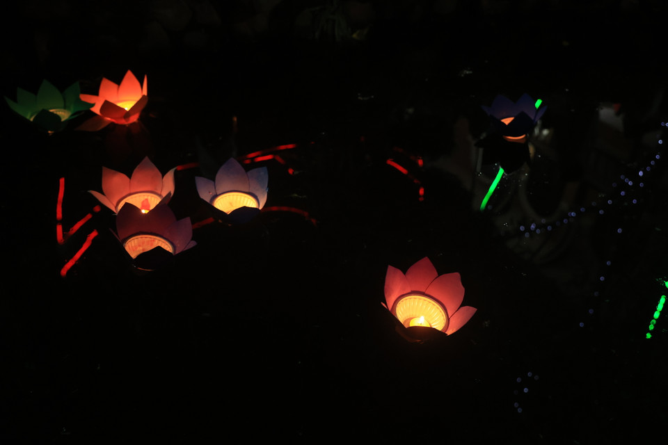 Mỗi ngọn đèn hoa đăng được thắp lên là một lời cầu nguyện, một tâm niệm thiện lành, một tâm niệm an lạc cho mình và cho mọi người. (Ảnh: Hoài Nam/Vietnam+)