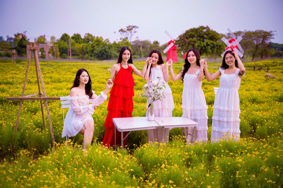  Cánh đồng cúc sao băng tại đường Thạch Cầu (quận Long Biên) là một trong những địa điểm đang thu hút người dân, đặc biệt là giới trẻ đến vui chơi và chụp hình trong những ngày Hà Nội vào Thu. (Ảnh: Hoài Nam/Vietnam+)