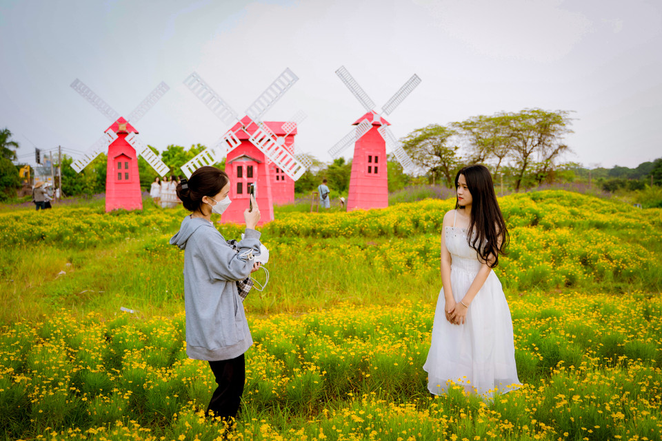 Thời tiết mùa Thu Hà Nội biết ‘chiều lòng người’ như hiện tại là thời điểm rất thích hợp để đến đây ngắm hoa và lưu lại những bức hình làm kỷ niệm. (Ảnh: Hoài Nam/Vietnam+)