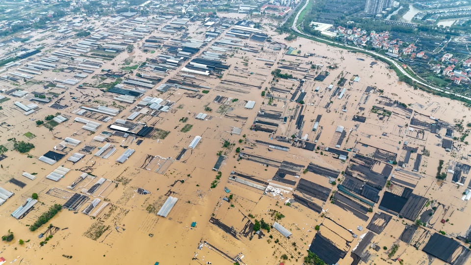 (Ảnh: Hoài Nam/Vietnam+)