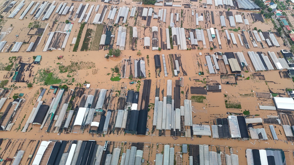 Hình ảnh các nhà vườn thuộc xã Xuân Quan. (Ảnh: Hoài Nam/Vietnam+)
