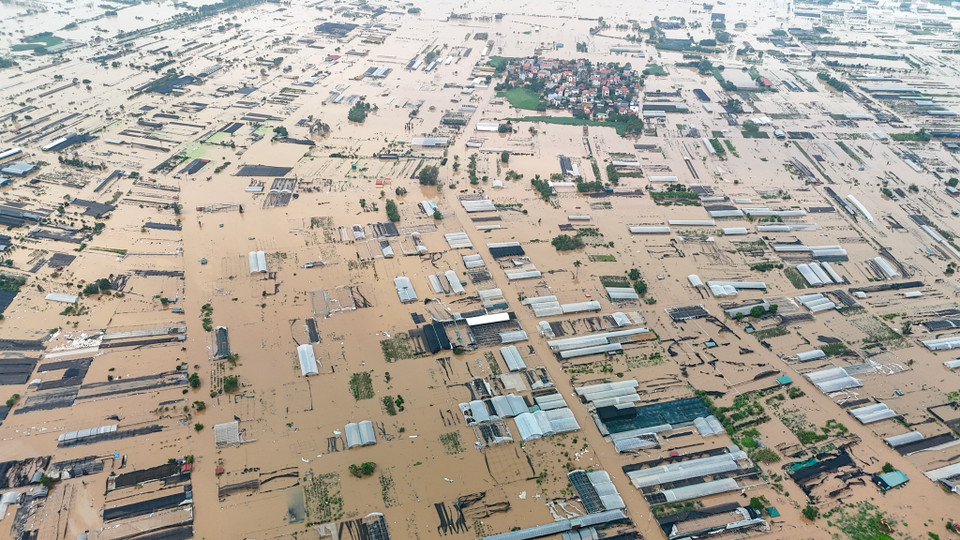 Hình ảnh mênh mông nước tràn từ sông Hồng vào toàn bộ diện tích trồng cây của người dân. (Ảnh: Hoài Nam/Vietnam+)