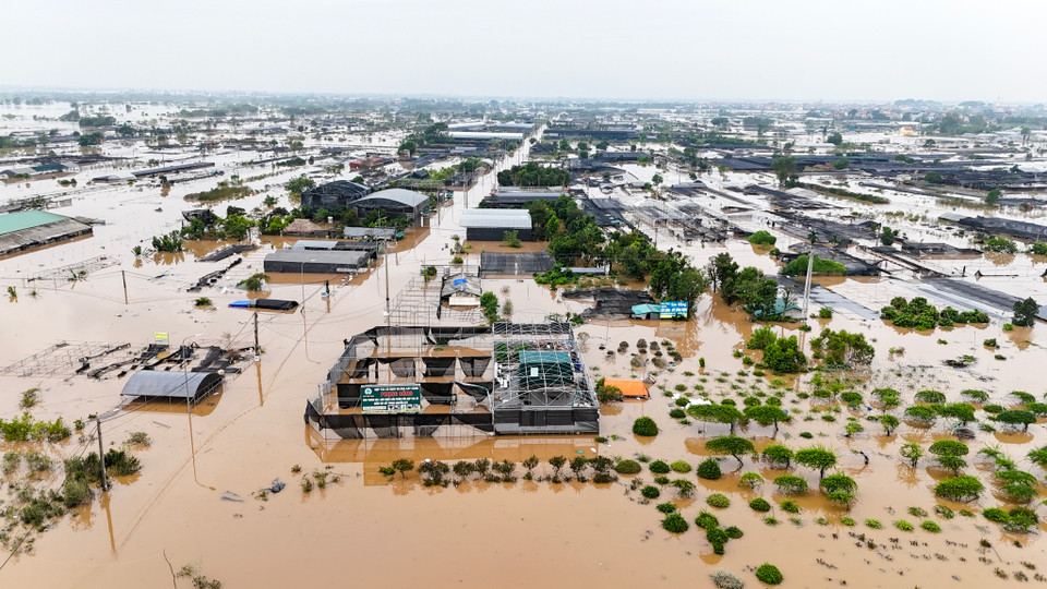 Toàn bộ diện tích trồng hoa và cây cảnh bị nhấn chìm. (Ảnh: Hoài Nam/Vietnam+)