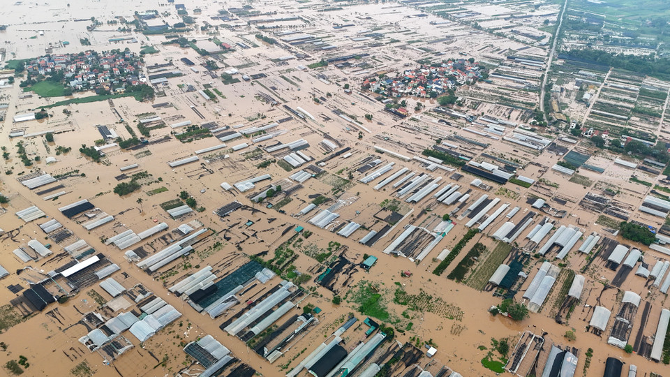 Theo chia sẻ của người dân tại dây, nước tràn vào từ đêm qua, tới sáng nay đã ngập sát chân đê. (Ảnh: Hoài Nam/Vietnam+)