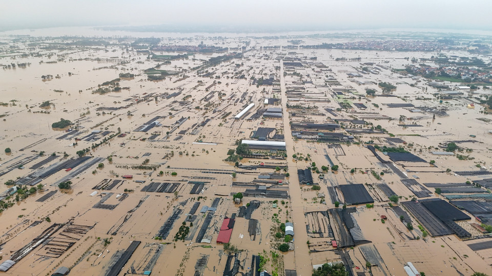 (Ảnh: Hoài Nam/Vietnam+)