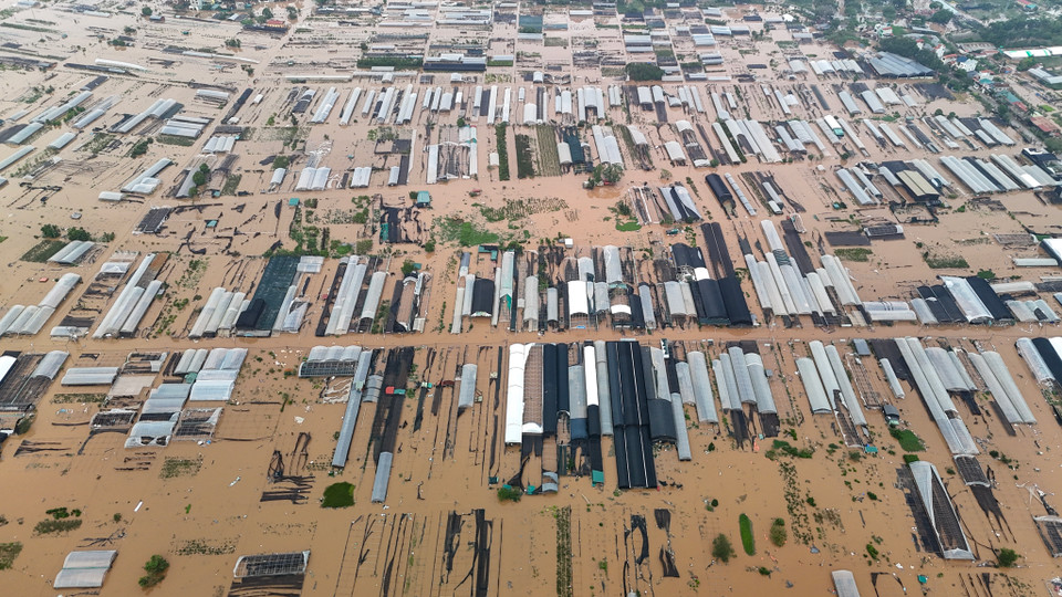 Người dân tại đây cho biết, vì nước lên quá nhanh, không kịp di dời tài sản nên thiệt hại có thể rất lớn nếu nước không rút nhanh. (Ảnh: Hoài Nam/Vietnam+)