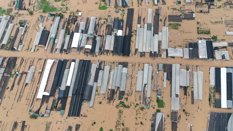 (Ảnh: Hoài Nam/Vietnam+)