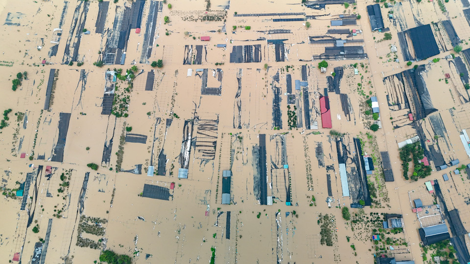 Các hộ trồng hoa và cây cảnh thuộc xã Phụng Công ngập trong biển nước. (Ảnh: Hoài Nam/Vietnam+)