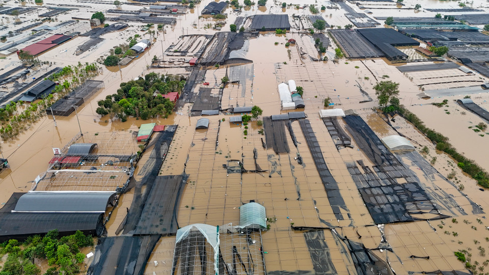 (Ảnh: Hoài Nam/Vietnam+)