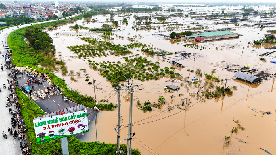 Ghi nhận của phóng viên sáng nay 12/9, toàn bộ diện tích trồng hoa và cây cảnh thuộc 3 xã Văn Đức (Gia Lâm, Hà Nội) và Phụng Công, Xuân Quan (Văn Giang, Hưng Yên) đã bị nhấn chìm trong biển nước. (Ảnh: Hoài Nam/Vietnam+)