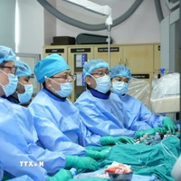 Các bác sỹ Bệnh viện Đại học Y dược Thành phố Hồ Chí Minh thực hiện kỹ thuật TAVI. (Ảnh: TTXVN phát)