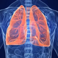 (Ảnh minh họa. Nguồn: Getty images)