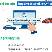 Hướng dẫn cách tra cứu giấy chứng nhận kiểm định điện tử 