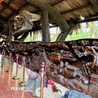 Bức tranh gỗ lũa khổng lồ dài gần 25m, nặng khoảng 20 tấn, được xem là một trong những tác phẩm công phu bậc nhất Việt Nam. (Ảnh: Thanh Sang/TTXVN)