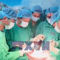 6 tuần, 5 lá phổi mới: Kỳ tích hồi sinh sự sống 